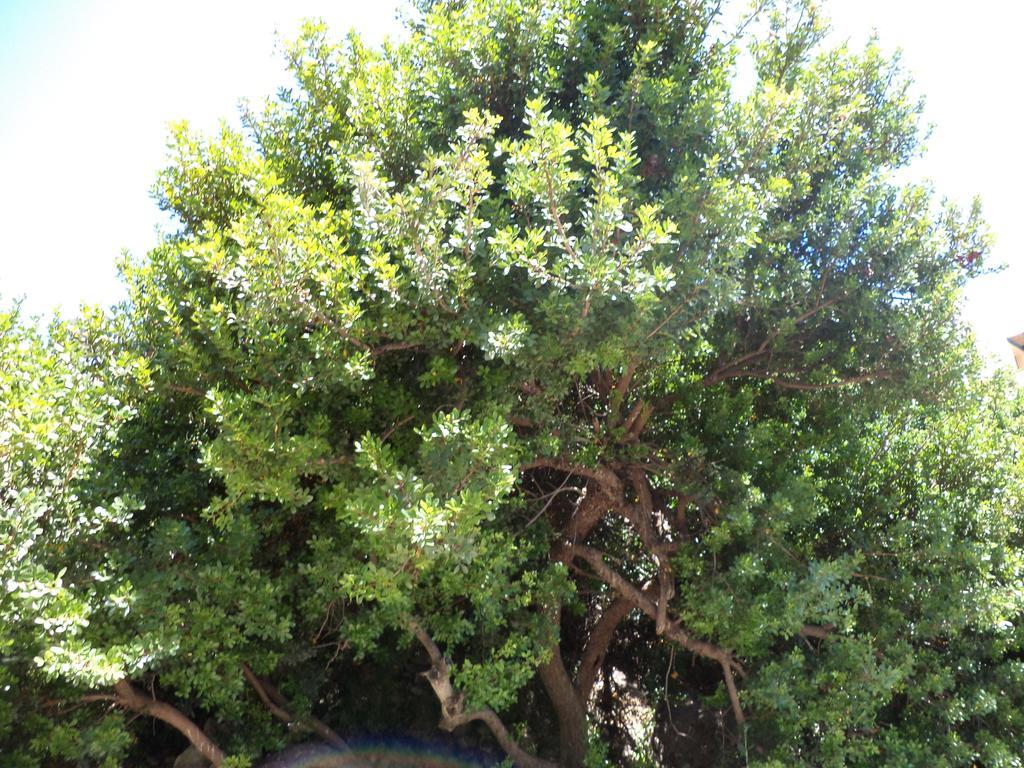To Kamari Apartamento Paralia Agias Foteinis Exterior foto